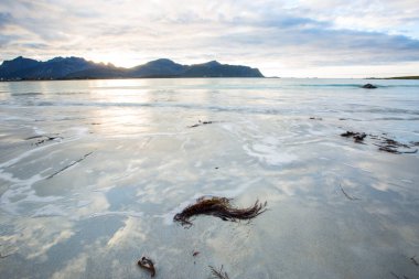 Lofoten Adaları 'ndaki sonbahar manzarası ve plajı. Norveç