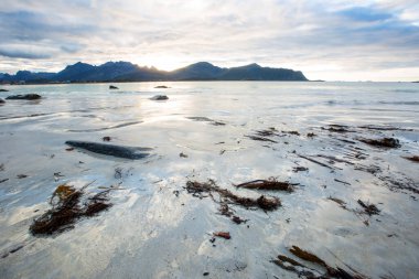 Lofoten Adaları 'ndaki sonbahar manzarası ve plajı. Norveç