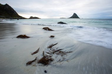 Lofoten Adaları 'ndaki sonbahar manzarası ve plajı. Norveç