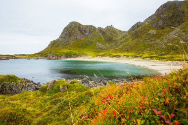 Lofoten Adaları 'ndaki sonbahar manzarası ve plajı. Norveç
