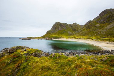 Lofoten Adaları 'ndaki sonbahar manzarası ve plajı. Norveç