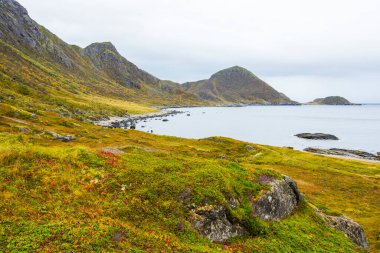 Lofoten Adaları 'ndaki sonbahar manzarası ve plajı. Norveç