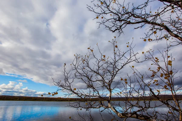 Paisagem Outono Tundra Norte Noruega Europa — Fotografia de Stock