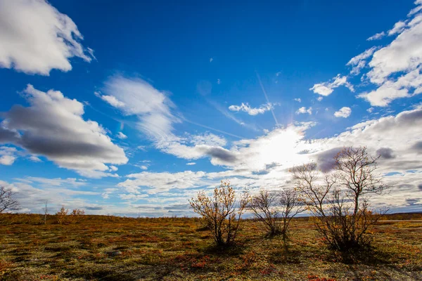 ノルウェー北部のツンドラで秋の風景 ヨーロッパ — ストック写真