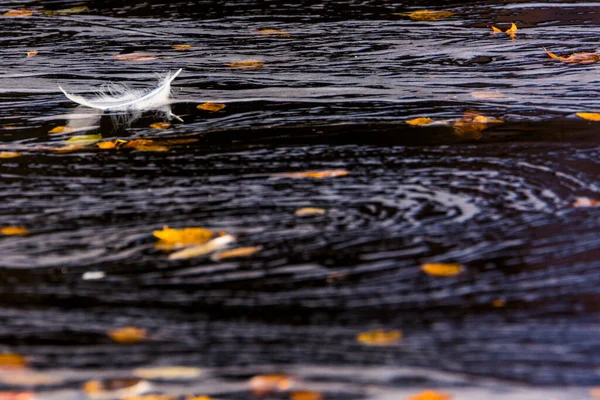 Autumn River Muonio Lapland Northern Finland — Fotografia de Stock