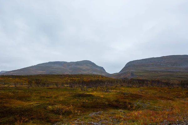 Осінній Пейзаж Тундрі Північна Норвегія Європа — стокове фото