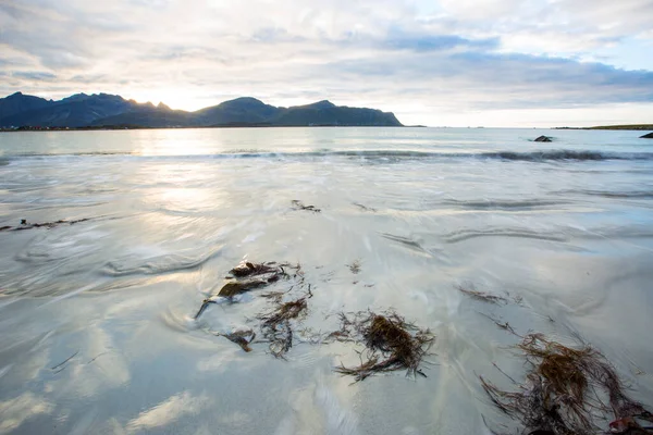 Lofoten Adaları 'ndaki sonbahar manzarası ve plajı. Norveç