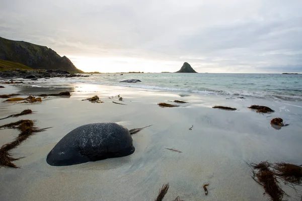 Lofoten Adaları Ndaki Sonbahar Manzarası Plajı Norveç — Stok fotoğraf