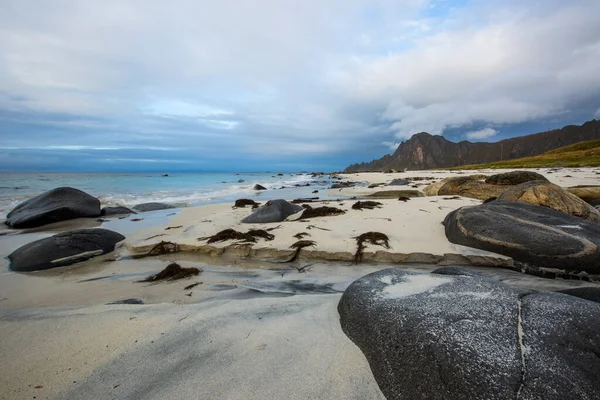 Herbstliche Landschaft Und Strand Auf Den Lofoten Norwegen — Stockfoto