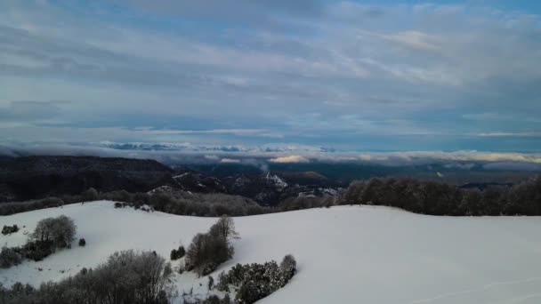Flygscen Med Drönare Snöfallet Puigsacalm Peak Garrotxa Girona Spanien — Stockvideo