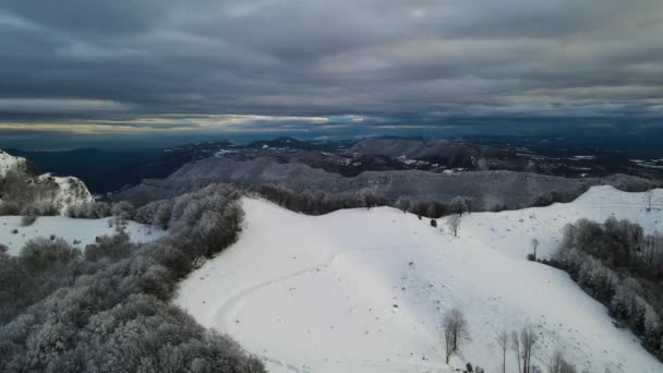 Scena Aerea Con Drone Della Nevicata Puigsacalm Peak Garrotxa Girona — Video Stock