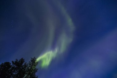 Kuzey ışıkları Kiruna, Laponya, Kuzey İsveç.