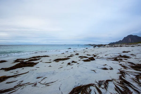 Outono Paisagem Praia Lofoten Islands Noruega — Fotografia de Stock