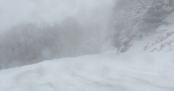 Winter Scene Van Sneeuwval Bracons Garrotxa Girona Spanje Uhd — Stockvideo