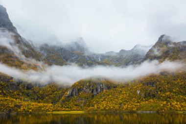 Lofoten Adaları 'ndaki sonbahar manzarası ve plajı. Norveç