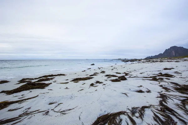 Jesienny Krajobraz Plaża Wyspach Lofoten Norwegia — Zdjęcie stockowe