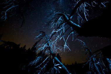 Malniu Gölü 'nde Samanyolu, Pireneler, İspanya.