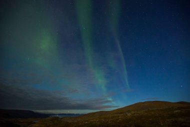 Nordkapp, Kuzey Norveç 'te Kuzey Işıkları. Avrupa.
