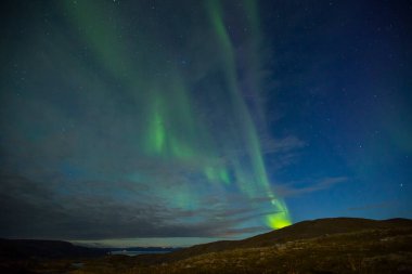 Nordkapp, Kuzey Norveç 'te Kuzey Işıkları. Avrupa.