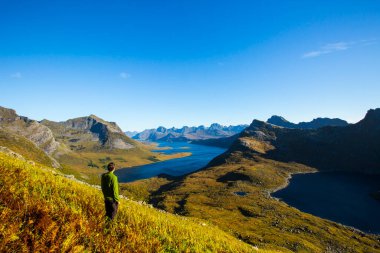 Lofoten Adaları 'ndaki sonbahar manzarası ve plajı. Norveç