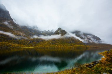 Lofoten Adaları 'ndaki sonbahar manzarası ve plajı. Norveç