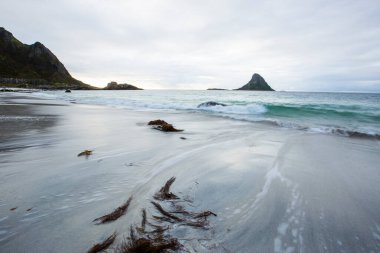 Lofoten Adaları 'ndaki sonbahar manzarası ve plajı. Norveç