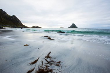 Lofoten Adaları 'ndaki sonbahar manzarası ve plajı. Norveç