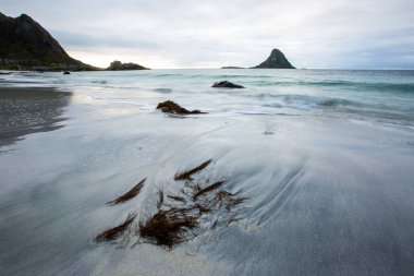Lofoten Adaları 'ndaki sonbahar manzarası ve plajı. Norveç