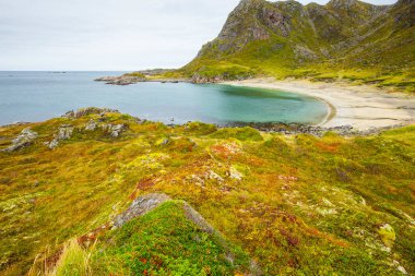 Lofoten Adaları 'ndaki sonbahar manzarası ve plajı. Norveç