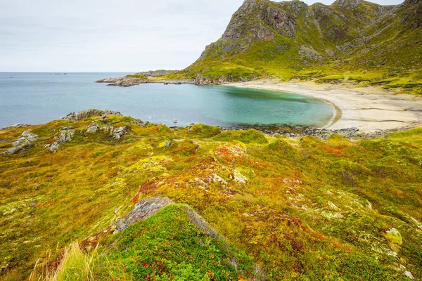 ロフテン島の秋の風景とビーチ ノルウェー — ストック写真