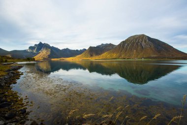 Lofoten Adaları 'ndaki sonbahar manzarası ve plajı. Norveç