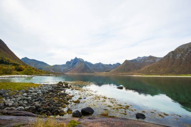 Lofoten Adaları 'ndaki sonbahar manzarası ve plajı. Norveç
