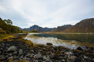 Lofoten Adaları 'ndaki sonbahar manzarası ve plajı. Norveç