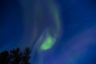 Kuzey ışıkları Kiruna, Laponya, Kuzey İsveç.