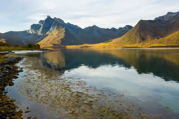 Lofoten Adaları 'ndaki sonbahar manzarası ve plajı. Norveç