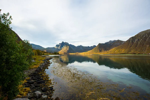 Lofoten Adaları 'ndaki sonbahar manzarası ve plajı. Norveç