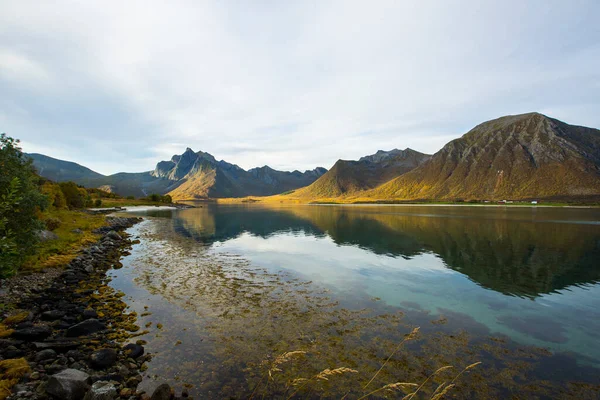 Lofoten Adaları Ndaki Sonbahar Manzarası Plajı Norveç — Stok fotoğraf