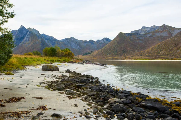 Lofoten Adaları 'ndaki sonbahar manzarası ve plajı. Norveç