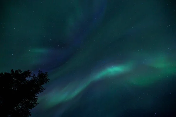 Luces Boreales Kiruna Laponia Norte Suecia — Foto de Stock