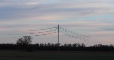 İspanya 'daki Aiguamolls De L Emporda Doğa Parkı' nda sığırcıkların mırıldanması. 4K UHD