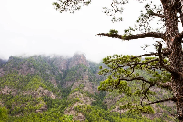 Cumprecita, Caldera De Taburiente, La Palma Adası, Kanarya Adaları, İspanya