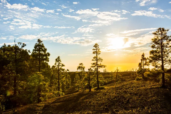 Llano del Jable 'da bahar günbatımı, La Palma Adası, Kanarya Adaları, İspanya.