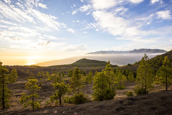 Spring Sunset Llano Del Jable Palma Island Canary Islands Spain — Stock Photo, Image