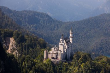 Güney Almanya, Bavyera 'daki Neuschwanstein Kalesi' nde yaz mevsimi. Avrupa