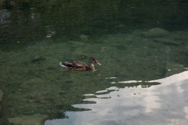 Kuzey Avusturya 'da Alp Dağları' nda yaz günbatımı. Avrupa