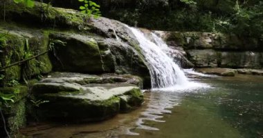 La Garrotxa, Girona, İspanya 'da bahar nehri manzarası