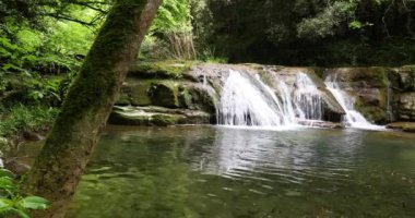 La Garrotxa, Girona, İspanya 'da bahar nehri manzarası