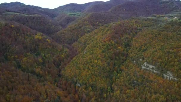 Scena Aerea Con Drone Del Paesaggio Autunnale Puigsacalm Peak Garrotxa — Video Stock