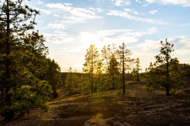 Llano del Jable 'da bahar günbatımı, La Palma Adası, Kanarya Adaları, İspanya.