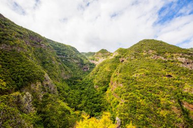 İspanya, Kanarya Adaları, La Palma Adası 'ndaki Garafia' daki tropik dağlar